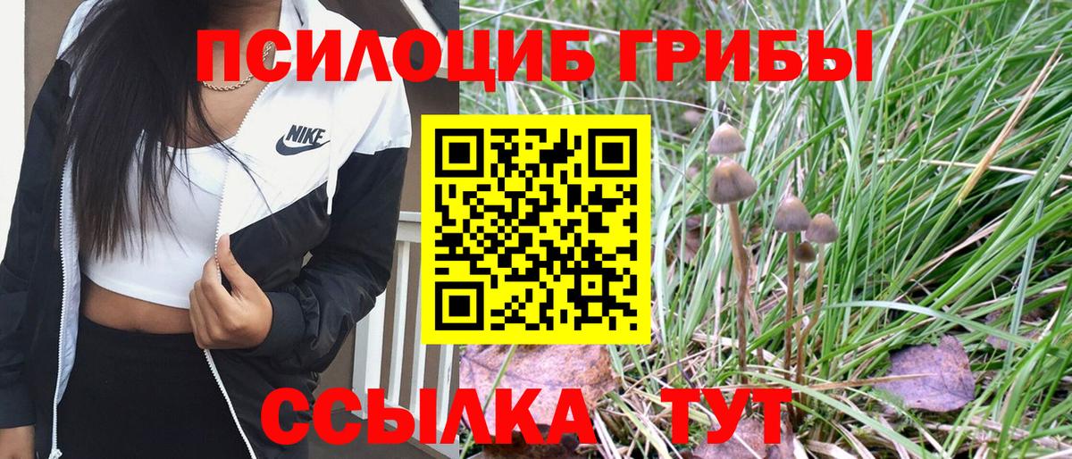 Псилоцибиновые грибы мицелий Ликино-Дулёво